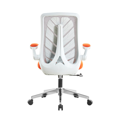 Eco Friendly Ergonomic Computer Chair STG Mechanism Adaptive Coil Spring Office Chair