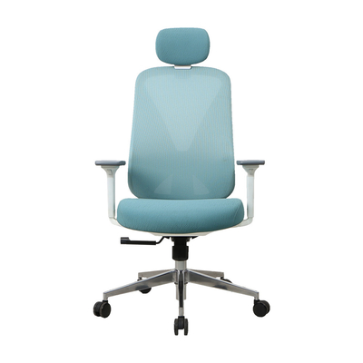 Blue ergo task office chair Nylon Ergo Executive Mesh Chair
