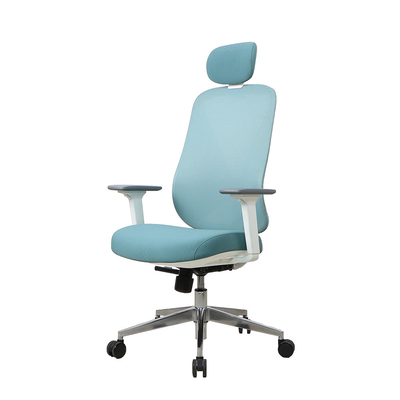 Blue ergo task office chair Nylon Ergo Executive Mesh Chair